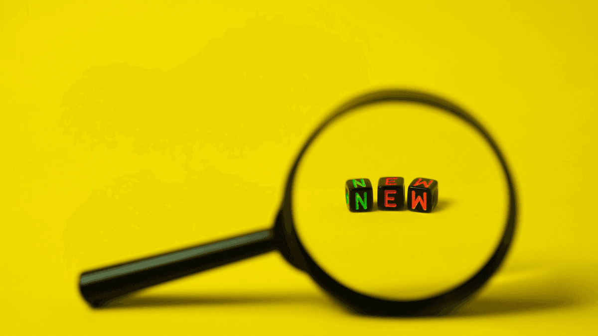 What is Novelty and Why Should You Care About it in the First Place?