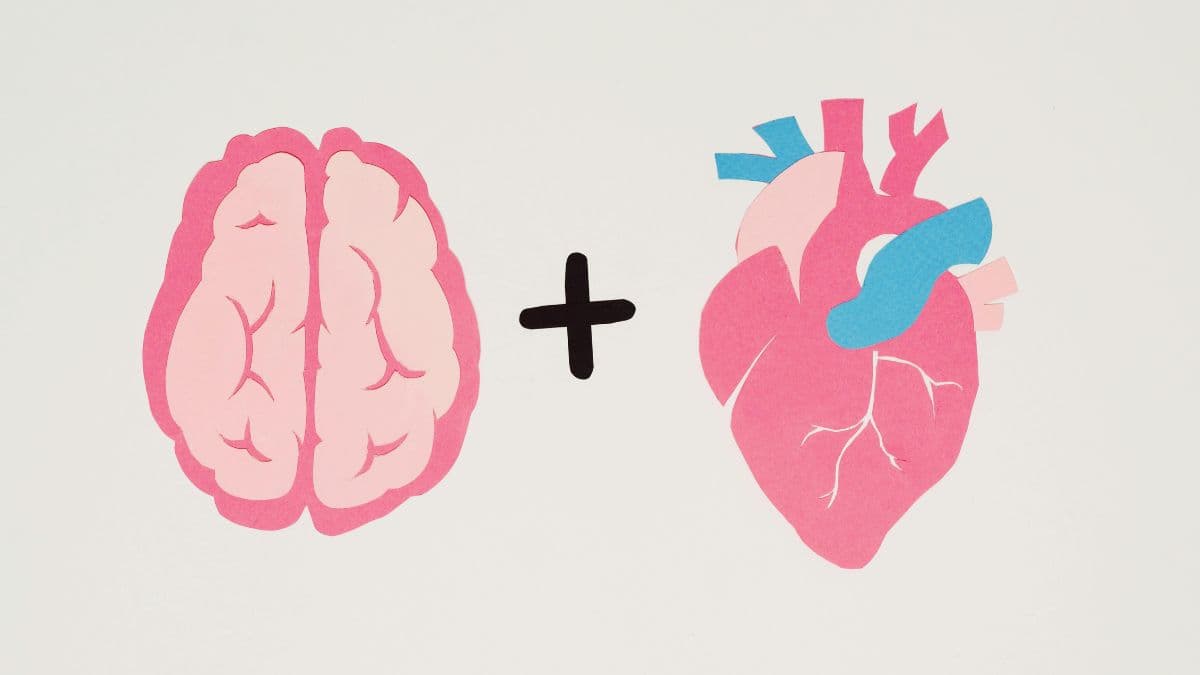 Illustration of a brain and a heart representing behavioral segmentation.