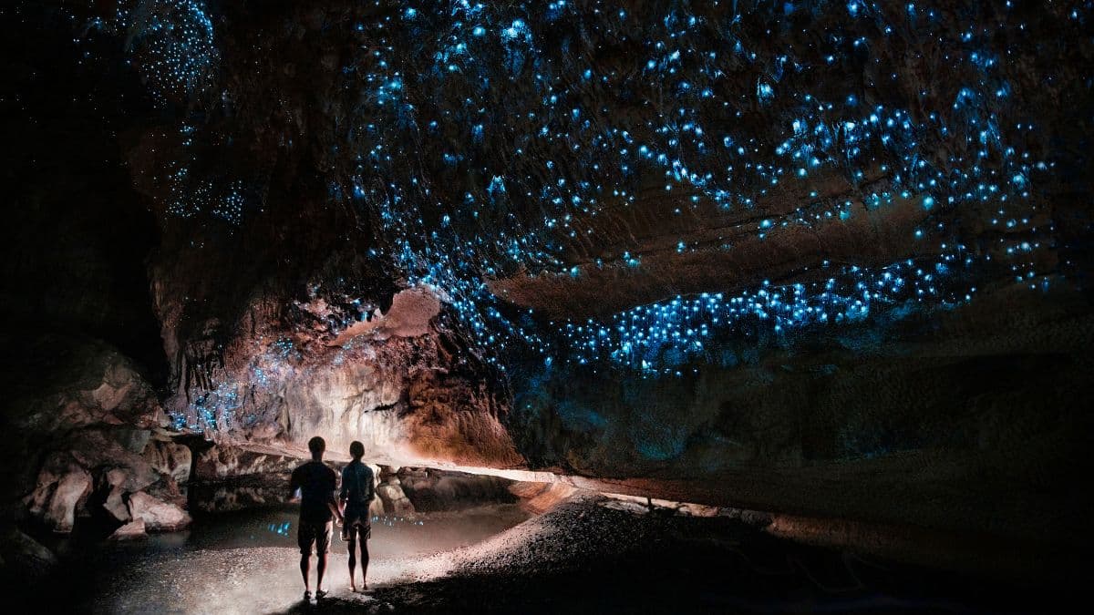 Bigger is not always better for agentic AI