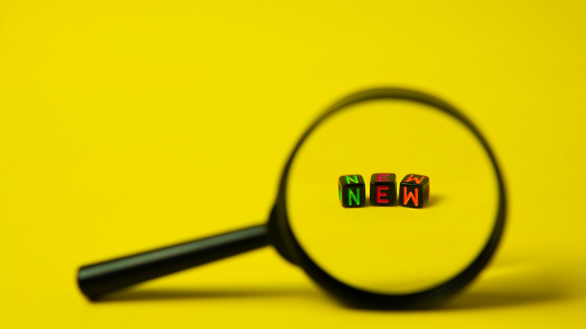 What is novelty and why should you care about it in the first place