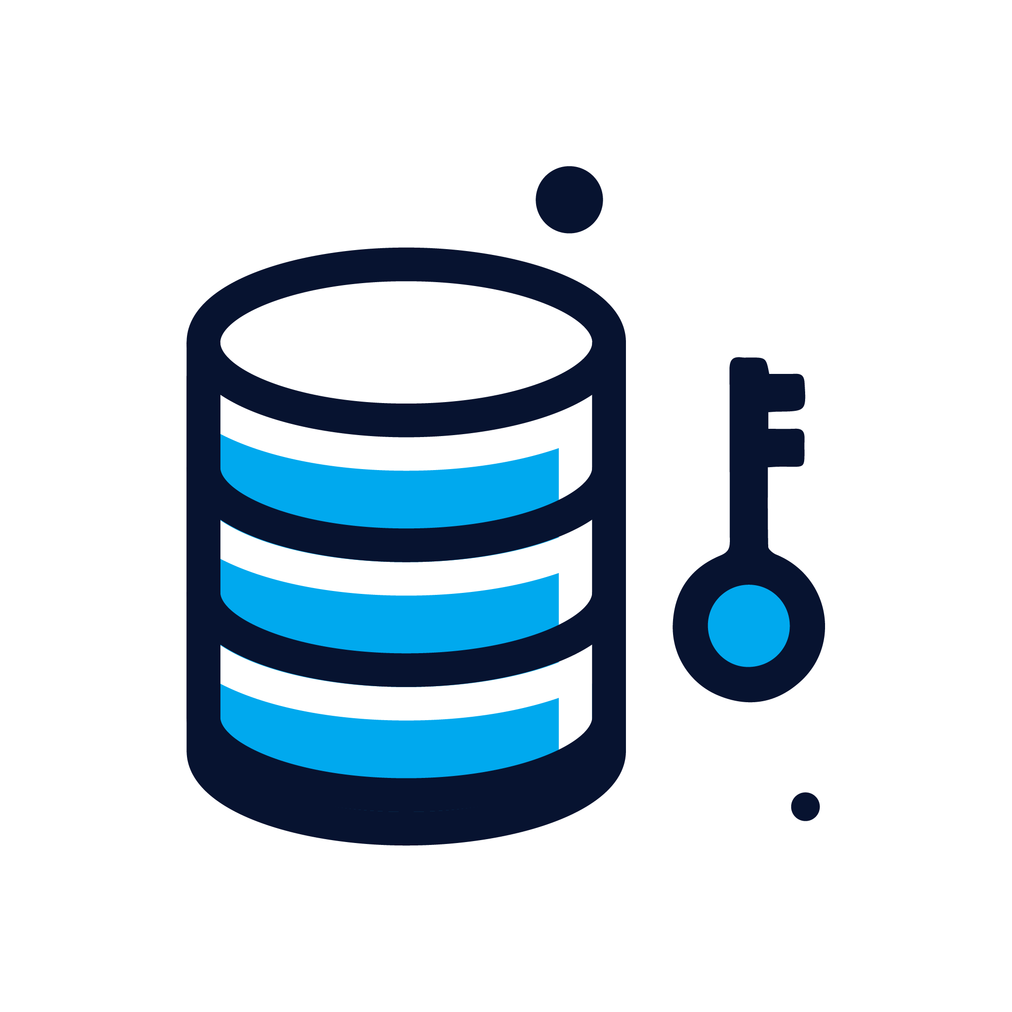 Low-Code Environment