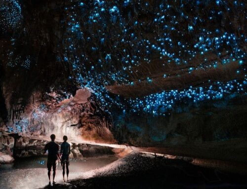 Bigger is not always better for agentic AI